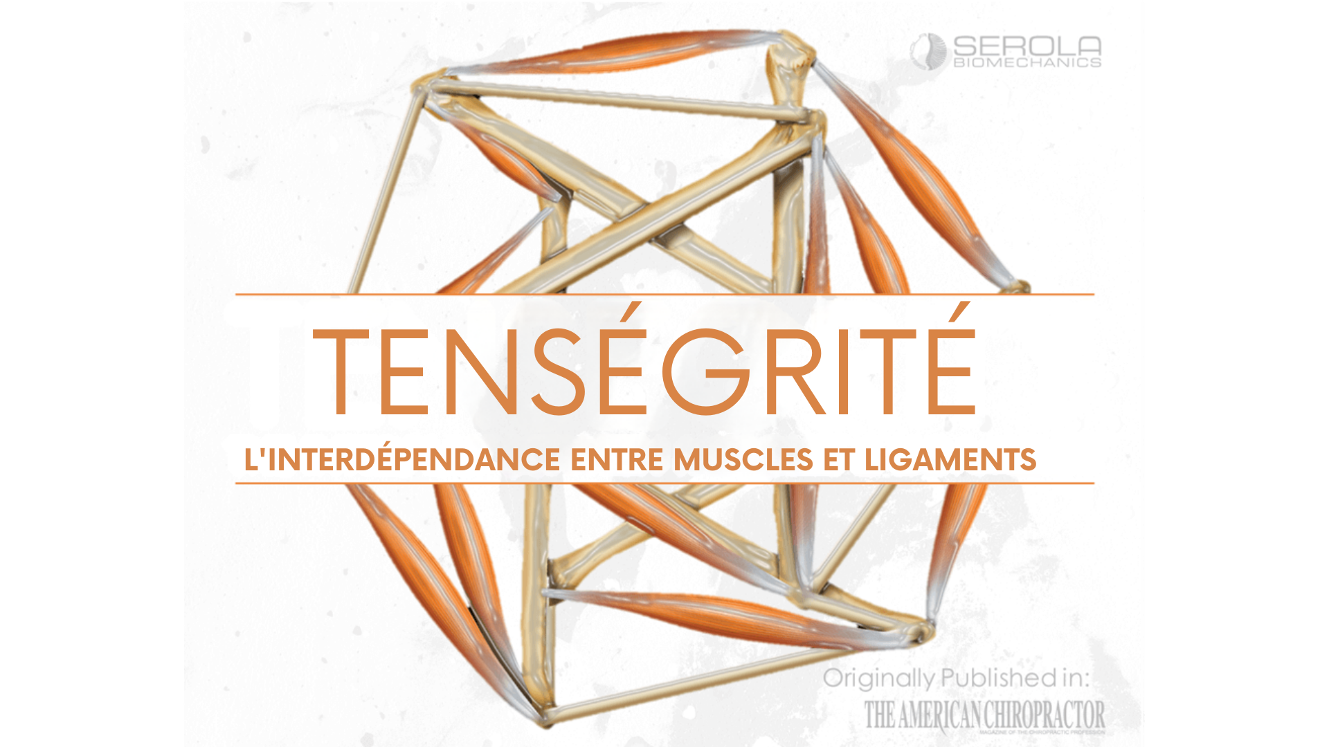 Tenségrité.png Tensegrite.png